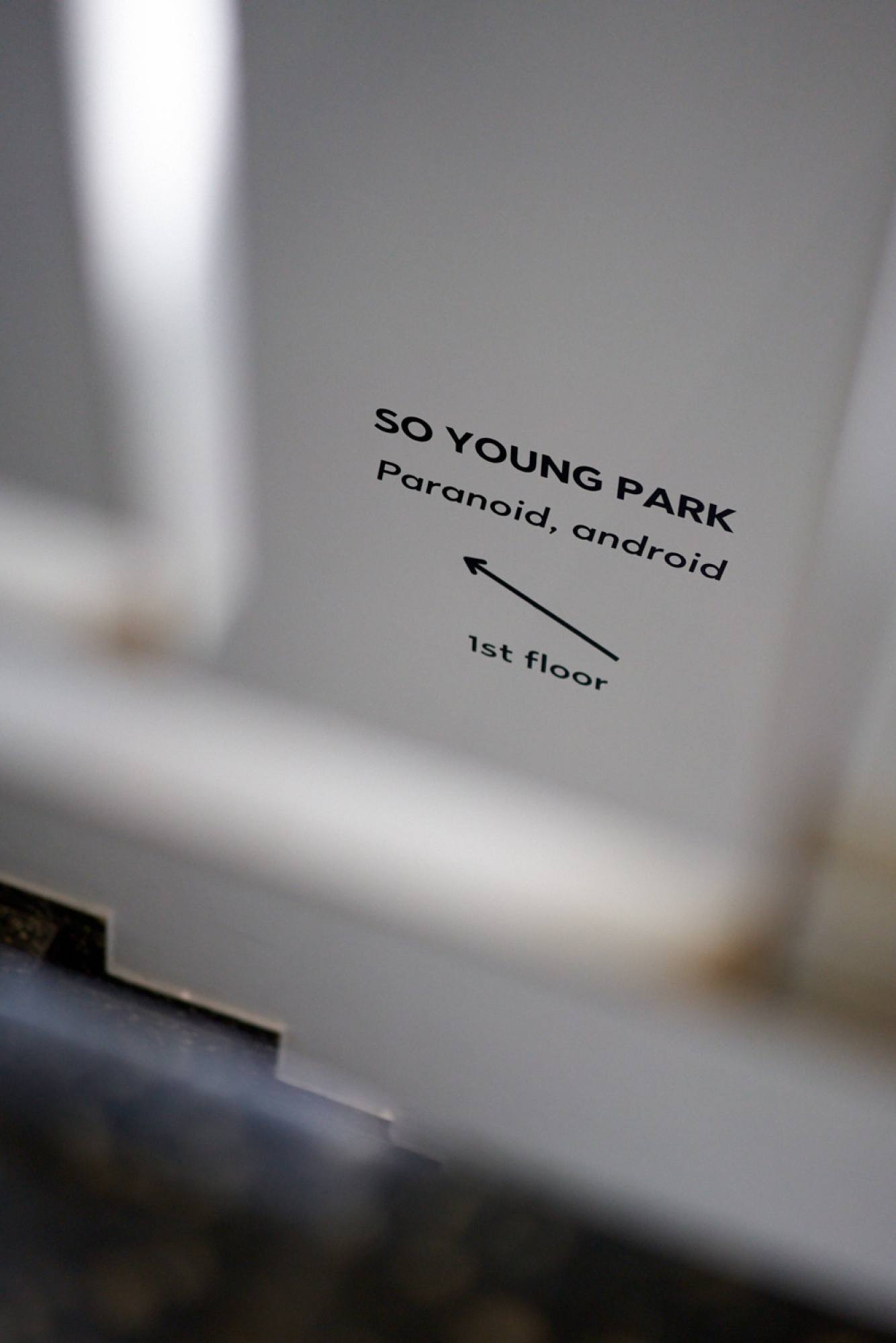 Image:So Young Park at HAUNT